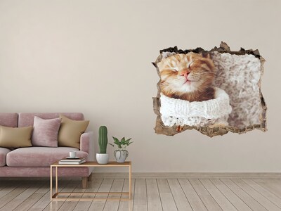 Sticker mural effet trou Chat mignon en pull