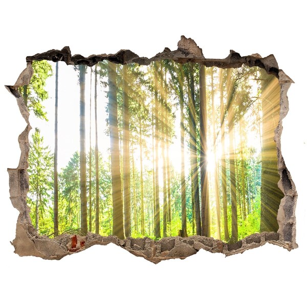 Sticker mural effet trou Clairière en forêt sous le soleil