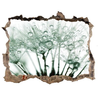 Autocollant mural trou Un rêve floral derrière le mur