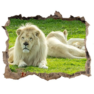 Sticker mural effet trou Lion blanc dans son habitat naturel