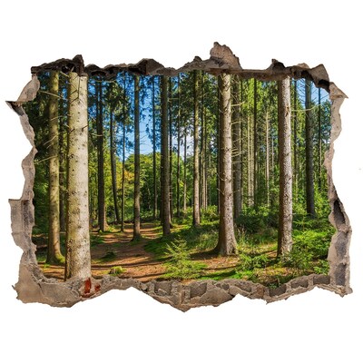 Sticker mural effet trou Un sentier forestier au milieu d'un épais fourré d'arbres