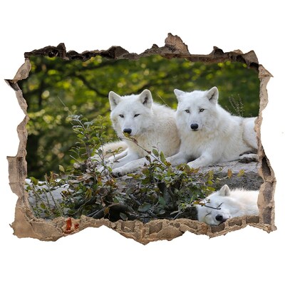 Sticker mural effet trou Loups arctiques dans leur habitat naturel