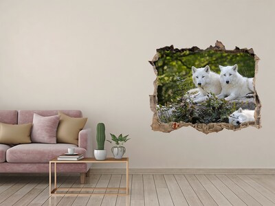 Sticker mural effet trou Loups arctiques dans leur habitat naturel