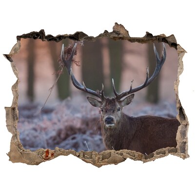 Sticker mural effet trou Cerfs dans la forêt