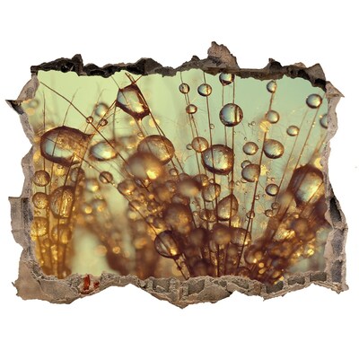 Autocollant mural trou Des gouttes sur les cheveux délicats