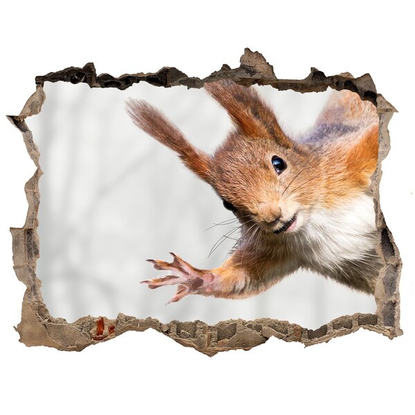 Sticker trou dans le mur Écureuil en action