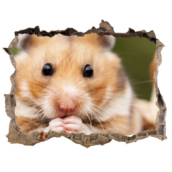 Sticker mural effet trou Hamster dans un trou transparent dans le mur