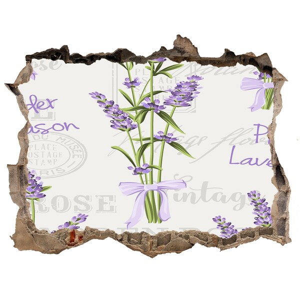Sticker mural effet trou Jardin de lavande vintage