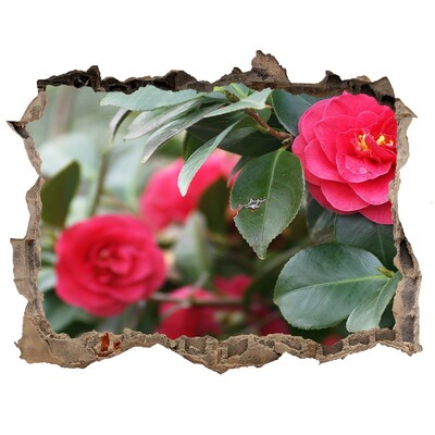 Autocollant à effet 3d trou Jardin de fleurs en béton