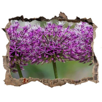 Autocollant mural trou Fleurs en pleine floraison