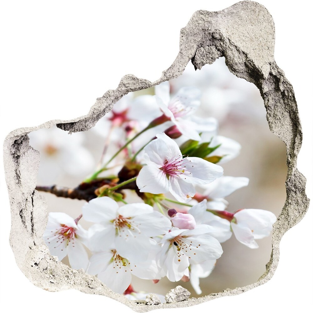 Sticker mural effet trou Fleurs de cerisier plante grès