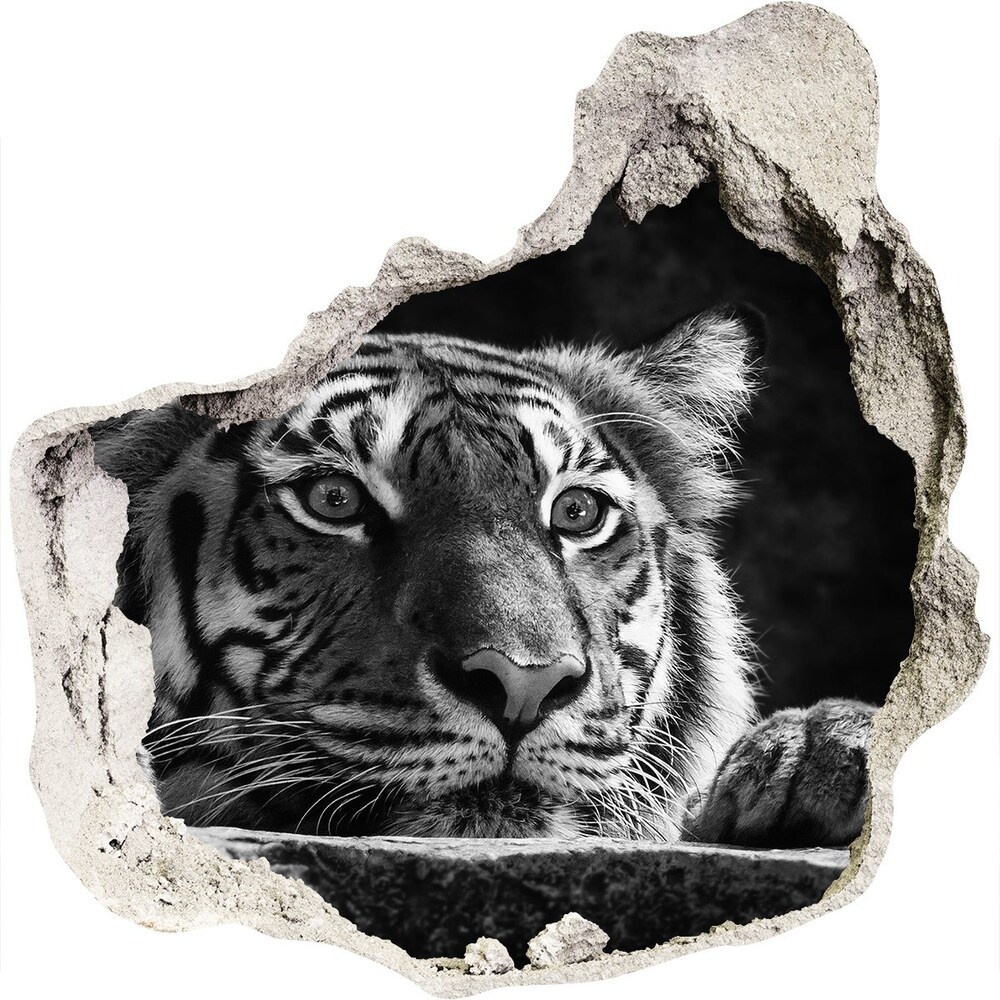 Sticker mural effet trou Tigre grès