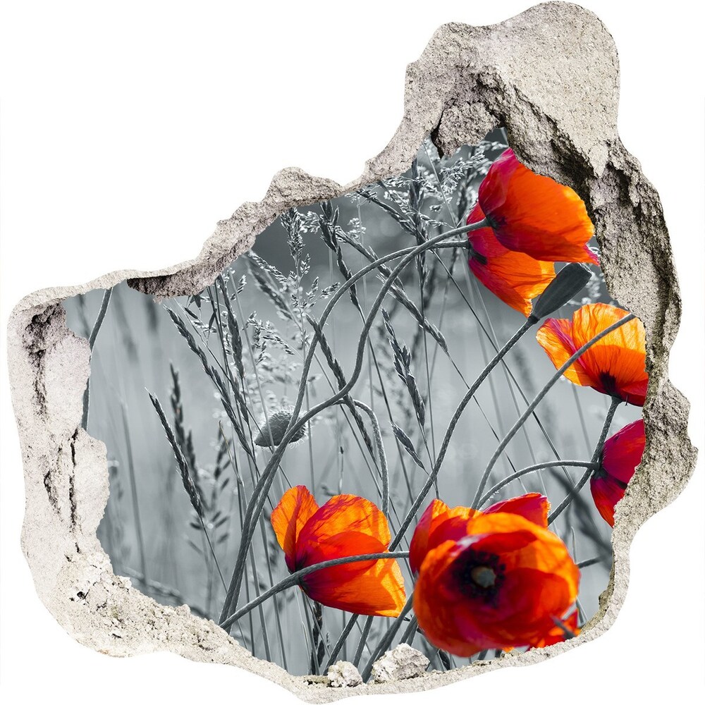 Autocollant à effet 3d trou Coquelicots de terrain grès