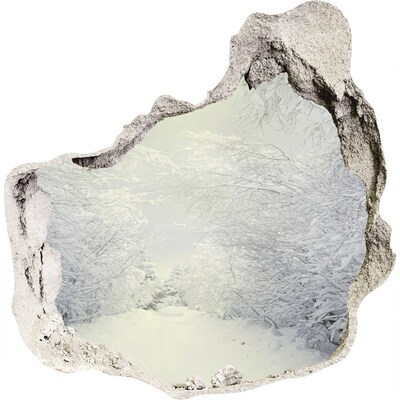 Autocollant mural trou Paysage d'hiver derrière le mur