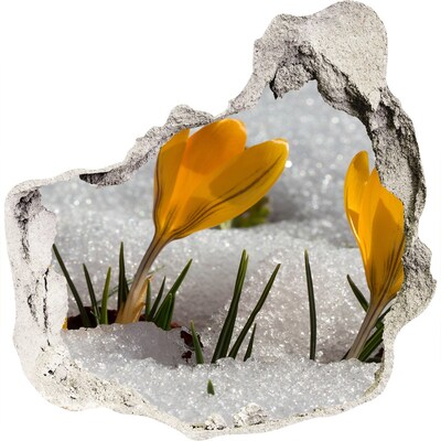 Autocollant à effet 3d trou Crocus dans la neige grès