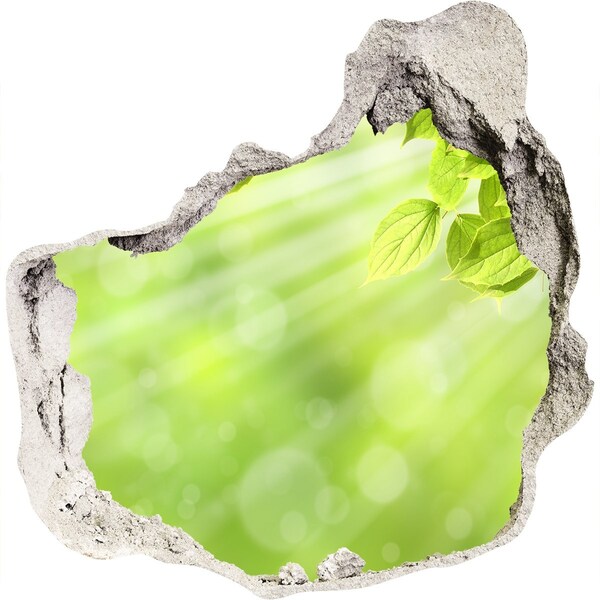 Autocollant mural trou Un paradis verdoyant derrière le mur