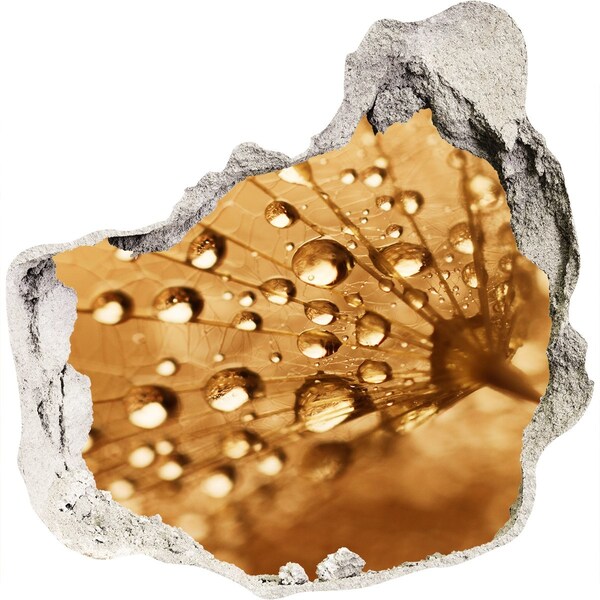 Sticker mural effet trou Des gouttes sur une feuille