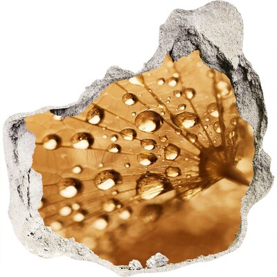 Sticker mural effet trou Des gouttes sur une feuille