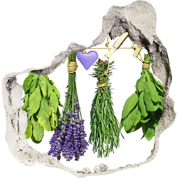 Autocollant mural trou Jardin d'herbes aromatiques caché dans un mur