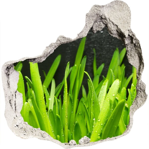 Autocollant mural trou Un paradis verdoyant derrière le mur