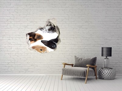 Sticker mural effet trou Voyeurs d'animaux