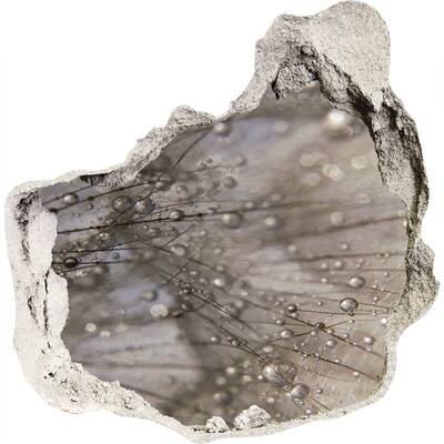 Autocollant mural trou Gouttes d'eau sur le verre