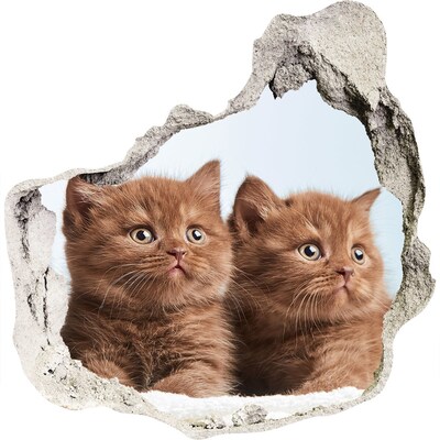 Autocollant à effet 3d trou Des chatons derrière le mur