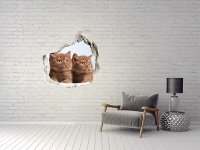 Autocollant à effet 3d trou Des chatons derrière le mur