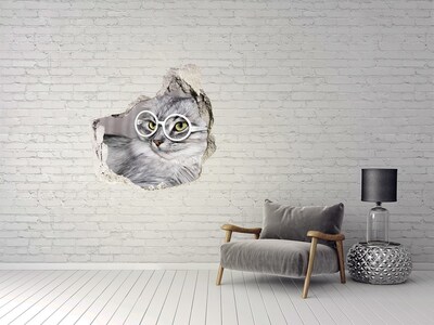 Sticker mural effet trou Chat à lunettes à travers un trou dans le mur