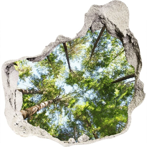 Sticker trou dans le mur Vue de la forêt sous un ciel bleu