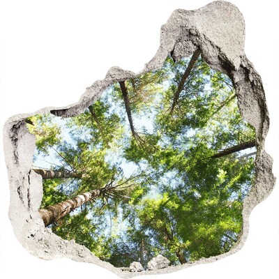 Sticker trou dans le mur Vue de la forêt sous un ciel bleu