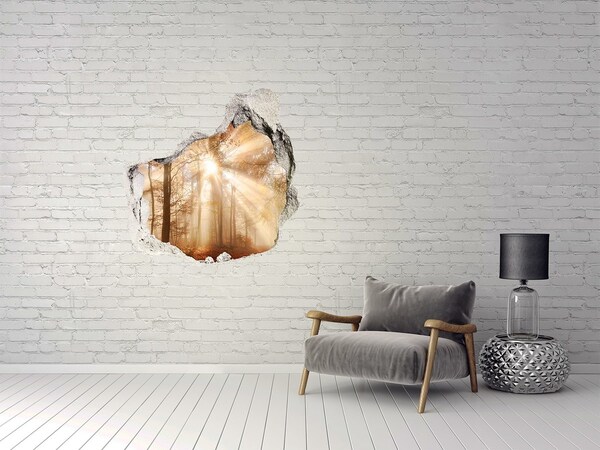 Sticker mural effet trou Col forestier du Soleil