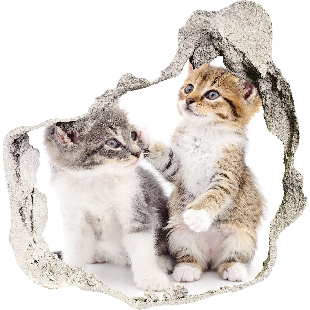 Autocollant mural trou Deux petits chats grès