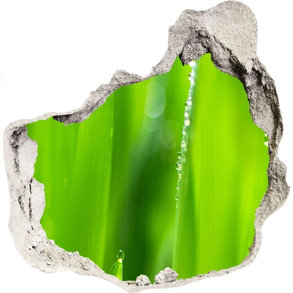 Autocollant à effet 3d trou Prairie verte parsemée de gouttes d'eau