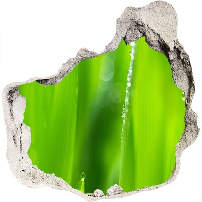 Autocollant à effet 3d trou Prairie verte parsemée de gouttes d'eau