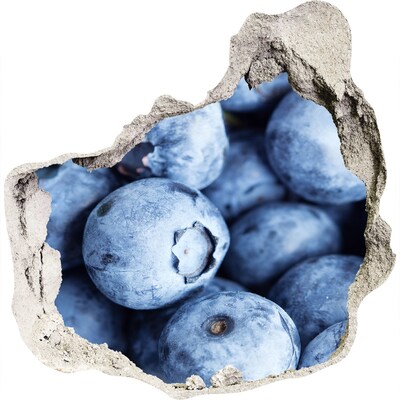 Autocollant à effet 3d trou Des baies dans un trou en béton