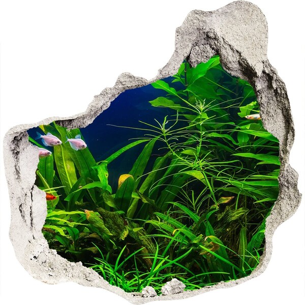 Sticker trou dans le mur Le monde sous-marin de l'aquarium