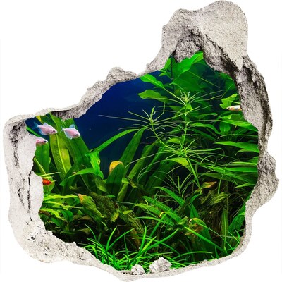 Sticker trou dans le mur Le monde sous-marin de l'aquarium