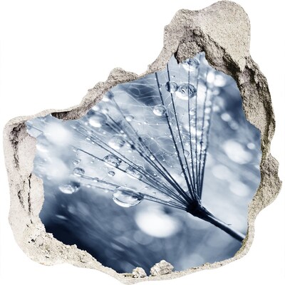 Sticker mural effet trou Des gouttes de rosée tombent sur un pissenlit