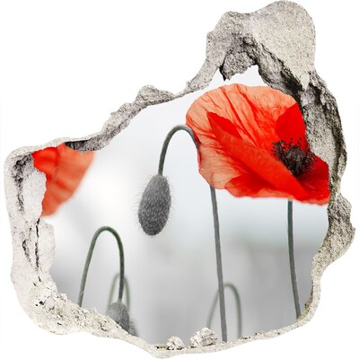 Autocollant mural trou Des fleurs dans un trou dans le mur