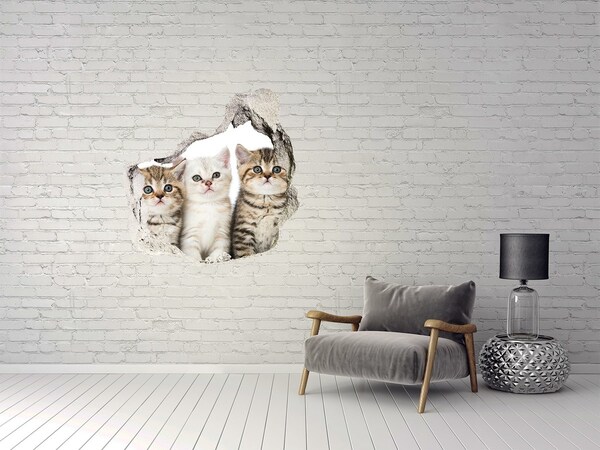 Autocollant à effet 3d trou Le trio de chats derrière le trou dans le mur