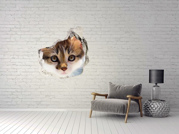 Sticker mural effet trou Chat dans un trou dans le mur