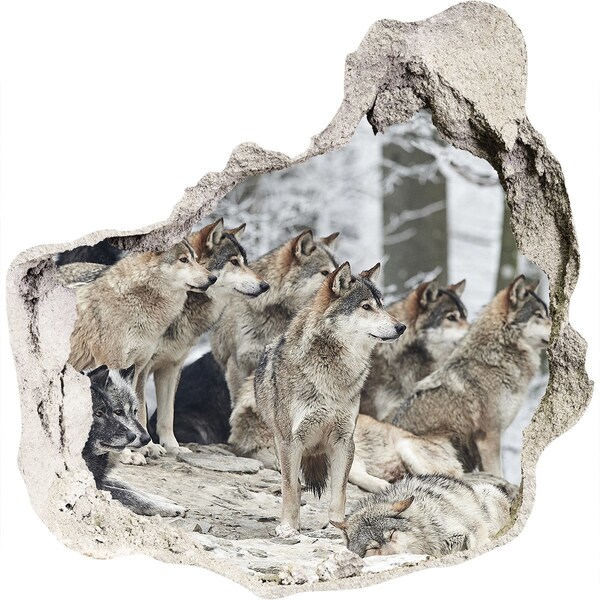 Autocollant à effet 3d trou Les loups dans leur habitat naturel