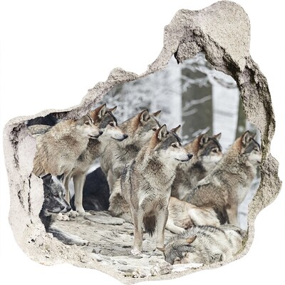 Autocollant à effet 3d trou Les loups dans leur habitat naturel