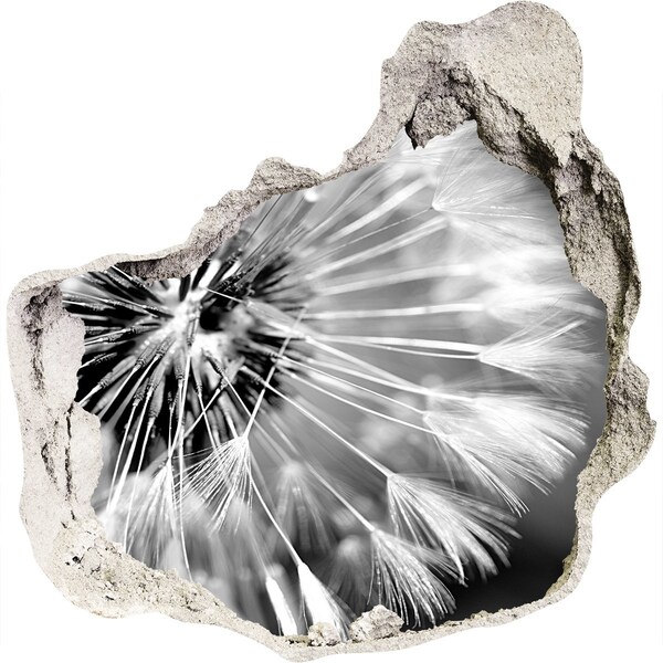 Autocollant à effet 3d trou Pissenlits en noir et blanc