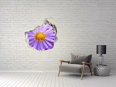 Autocollant à effet 3d trou Asters grès