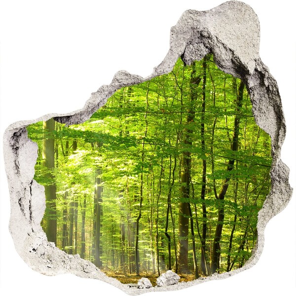 Autocollant à effet 3d trou Forêt verte sous le soleil