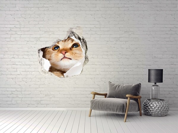 Autocollant à effet 3d trou Chat à travers un trou dans le mur