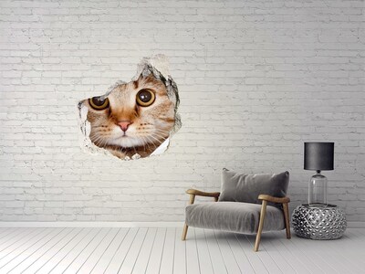 Sticker mural effet trou Le chat derrière le trou dans le mur