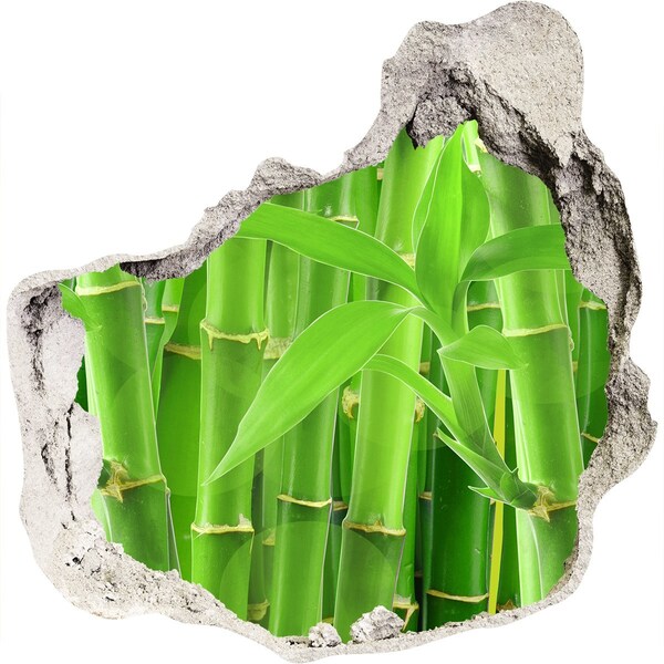 Autocollant mural trou Forêt de bambous verts